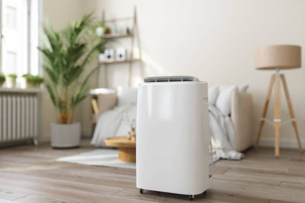 Best VRF (Variable Refrigerant Flow) Systems in Beaverton, MI